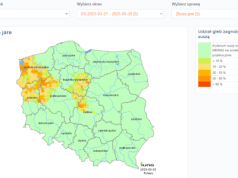 304 gminy w Polsce zagrożone suszą. Instytut Badawczy w Puławach wydał pierwszy w tym roku raport suszowy