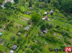 Przyznano dotacje dla rodzinnych ogrodów działkowych. Sprawdź, gdzie trafi miejskie wsparcie
