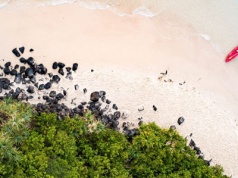 Najpiękniejsze plaże Australii – które warto odwiedzić?