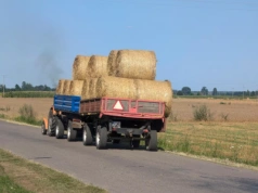 Ceny słomy przed żniwami 2025. Ile za kostkę, a ile za balot?