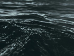 Światowe oceany ciemnieją