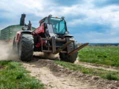 Plony 2025 w UE zagrożone przez suszę. Prognozy dla Polski