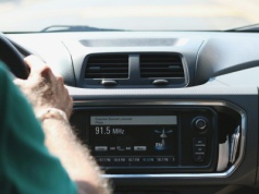 Bez abonamentu radiowego nie da się kupić OC. W tym kraju rząd przesadził