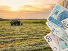 Wnioski o dopłaty 2025 pod presją czasu! Spóźnienie zaboli Twój portfel