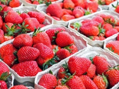 Szwedzkie truskawki na Midsommar – będą dostępne