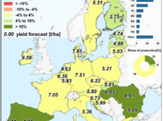 KE obniżyła oczekiwane plony zbóż i rzepaku w Polsce