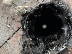 Głębiej niż kiedykolwiek wcześniej. Technologia Quaise może odmienić energetykę geotermalną na całym świecie