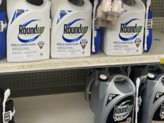 Kolejne stany USA wprowadzają prawo chroniące producentów pestycydów przed pozwami. Czy to ochroni Bayer?