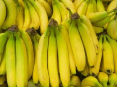 Czy naprawdę łączy nas z bananem 60% DNA? Fakty i mity tego pokrewieństwa