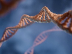 Nie tylko podwójna helisa. Naukowcy odkrywają tajemnicze struktury DNA