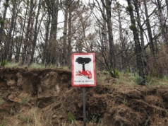 Alert pogodowy na Wyspach Kanaryjskich – wysokie ryzyko pożarów