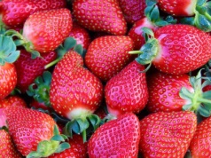 Nie wyrzucaj ich do śmieci! Szypułki truskawek jako superfood