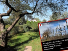 Zapłacą 70 tys. zł za jeden błąd. Kontrole na działkach ROD to nie żart