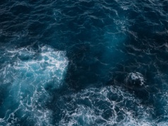 Ocean staje się ciemny i cichy. Naukowcy biją na alarm