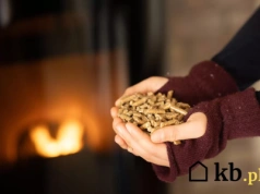 To nie jest zwykły kominek! Polacy masowo wymieniają stare piece na to cudo