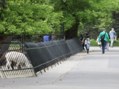 W warszawskim zoo doszło do skandalicznego incydentu. Pracownicy błyskawicznie ruszyli do akcji