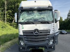 Drzewo spadło na autostradę tuż przed ciężarówką, trafiając w przód ciągnika