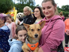 Festiwal Mokrych Nosków z okazji Dnia Psa. Szykują piknik i bieg charytatywny