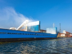 Po ile zboża w portach? Ile proponują za nowe zbiory?