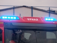 Gałąź uszkodziła trakcję trolejbusową