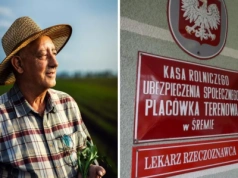 Ile rolnik może dorobić, żeby nie stracić emerytury z KRUS? Nowe kwoty od 1 czerwca 2025