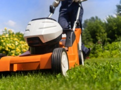 500 zł kary za skoszoną trawę. Problemy mogą być duże