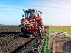 400 ha ziemi do wzięcia z KOWR na Dolnym Śląsku. Jaki czynsz?