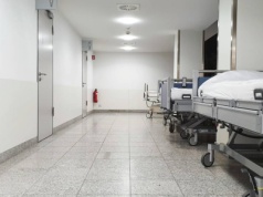 Wirus Borna atakuje w Niemczech. Jest śmiertelnie niebezpieczny dla ludzi