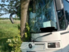 Wypadek autobusu pod Sulechowem. Szokujące fakty o kierującej (ZDJĘCIA)