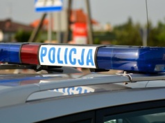 Bestialstwo na rogu Św. Wawrzyńca i Dalkoskiej. Pijany mężczyzna okaleczył psa nożem