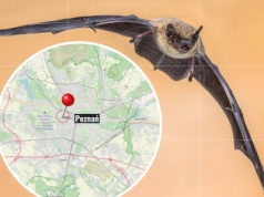 Ograniczenia, nakazy i strefa pod specjalnym nadzorem. W Poznaniu ogłoszono alarm dla mieszkańców