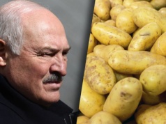 Białoruś ma plan. Ujawniono, jak Łukaszenka zarobi na polskich ziemniakach