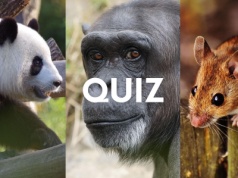 Quiz dla osób o 
