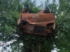 Tajemnicze znalezisko. Spalony wrak na czubku drzewa