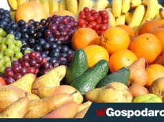 Popularne mity o owocach – czy nadal w nie wierzysz?