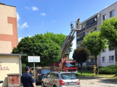 Zatrzaśnięty kot potrzebował pomocy. Akcja służb (ZDJĘCIA)