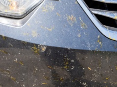 Owady na masce? Wymieszaj z wodą i przetrzyj. Inaczej zrobią graffiti z lakieru