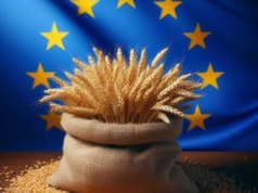 KE podniosła prognozy zbiorów pszenicy w UE-27. Co z cenami ?