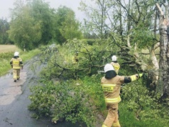 Prawie pół tysiąca interwencji po burzach