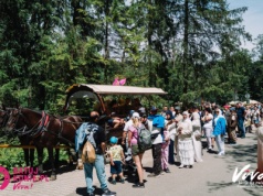 Fundacja Viva! po wielu latach prób współpracy mówi “dość” i bojkotuje badania koni z Morskiego Oka