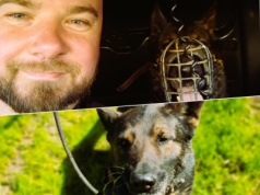 Włamał się do trafostacji. Zatrzymany przez policjanta z psem służbowym [ Prawo i porządek ]