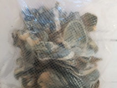 Policjanci zatrzymali 32-latka z narkotykami: w mieszkaniu znaleziono grzyby halucynogenne, LSD i marihuanę