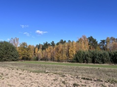 Francja: grunty orne i pastwiska znów droższe