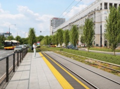 Marszałkowska zamieni się w zieloną arterię