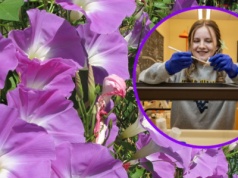 Wielkie odkrycie studentki. Nowy gatunek magicznych grzybków