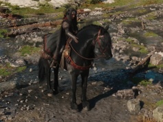 Wiedźmin 4 może pobić Red Dead Redemption 2, jeśli chodzi o realizm koni. Ekspertka jest zachwycona klaczą Ciri i uważa ją za jedną z najlepszych w grach