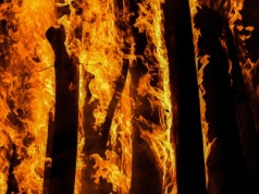 Pożary w Kanadzie zagrażają firmom naftowym. Wydobycie spadło o 7%