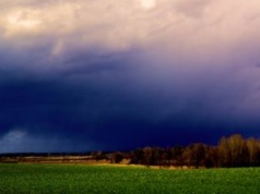 Nawałnice demolują uprawy. Najgorzej od ośmiu lat