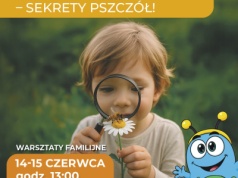Z kwiatka na kwiatek – sekrety pszczół!
