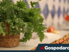 W cateringu liczą się rabaty i promocje